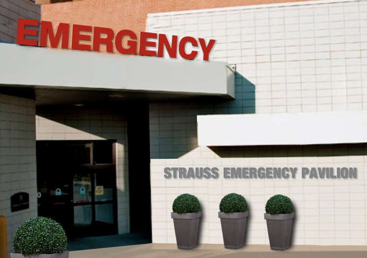 Strauss Emergency Pavilion 